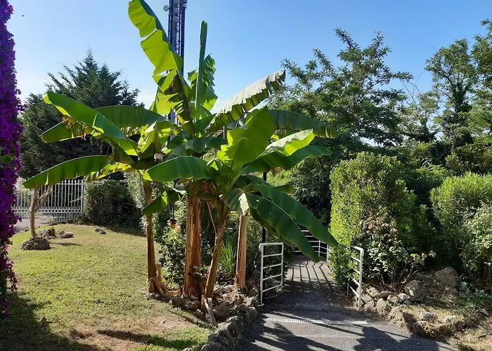 Lauretta Lejlighed Ceriale