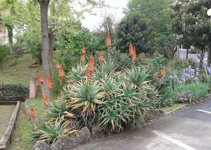 Lauretta Lejlighed *